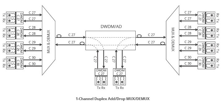 DWDM