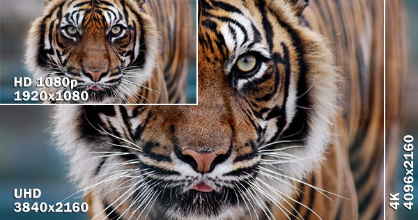 انتخاب تلویزیون UHD یا 4K